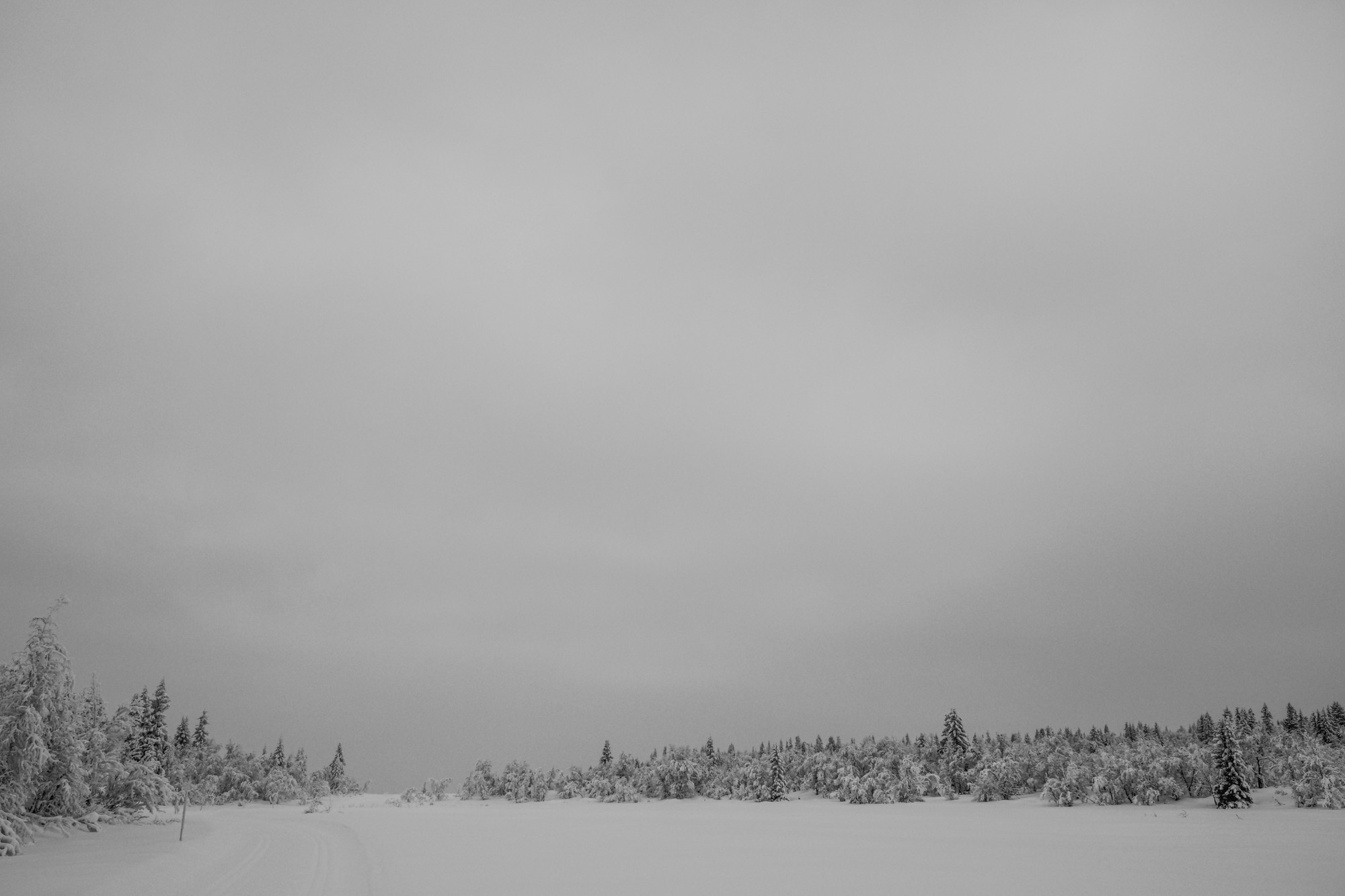 2024 01 03  xt 5   6911